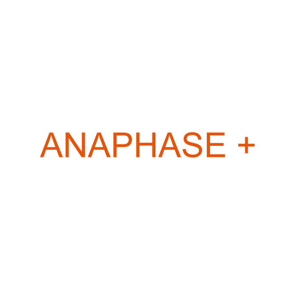 Anaphase